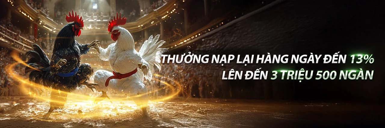 Đá Gà Trực Tuyến PG999 Nhà Cái